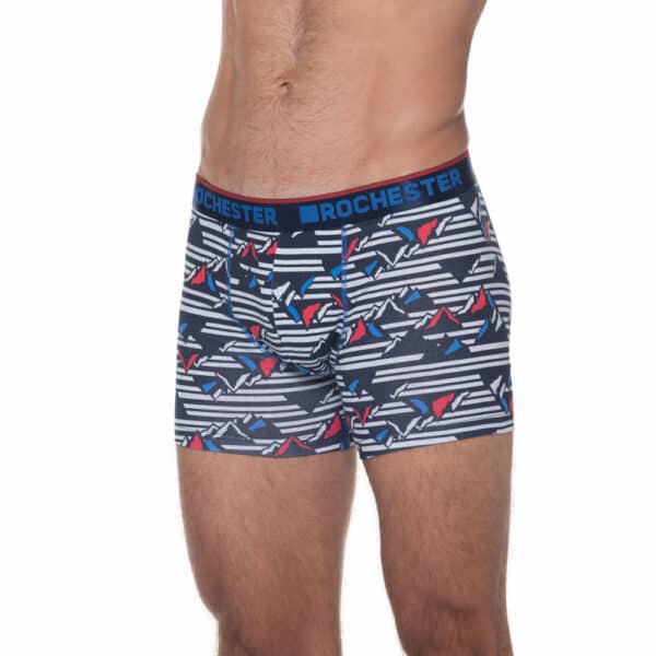 Boxer Ajustado de Algodón con Estampado - Imagen 2
