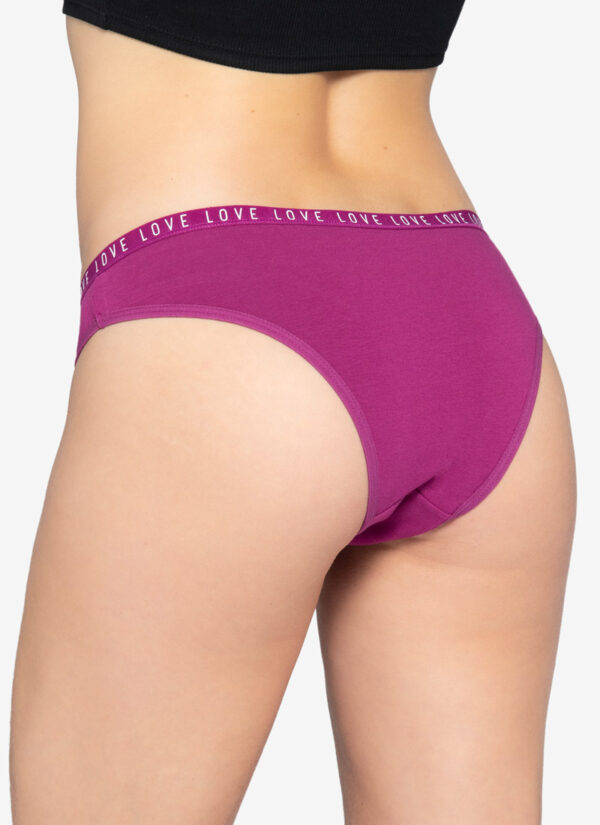 Calzón Tipo Bikini Clasico - Imagen 10