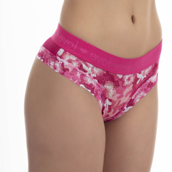 Pantaleta De Encaje Con Malla - Imagen 9
