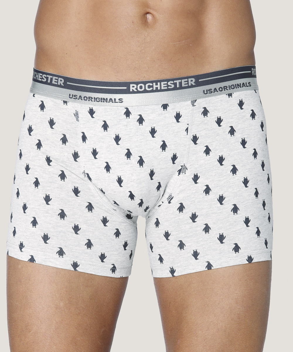 Boxer Ajustado De Algodón Con Estampado - Imagen 9