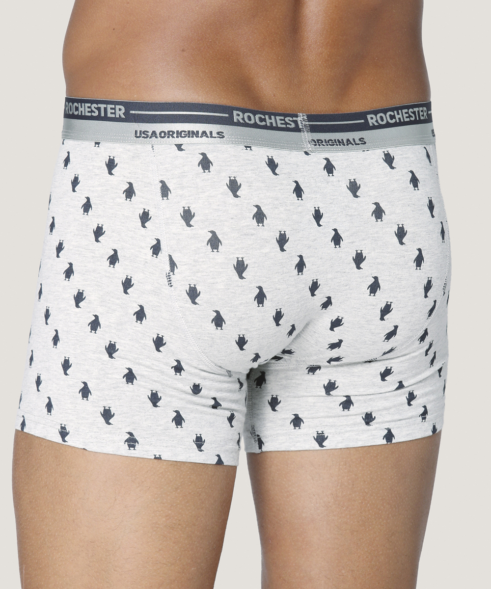 Boxer Ajustado De Algodón Con Estampado - Imagen 10