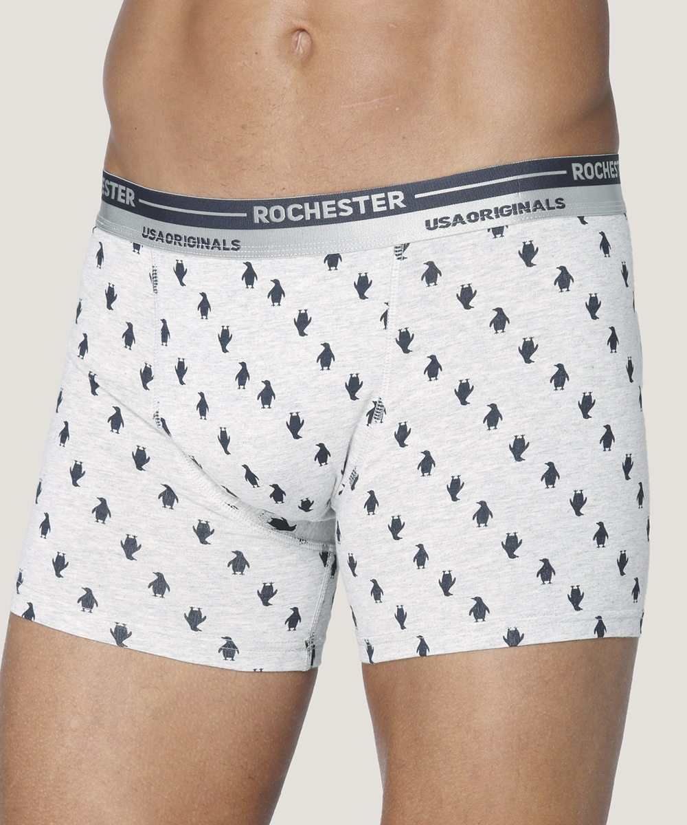 Boxer Ajustado De Algodón Con Estampado - Imagen 11