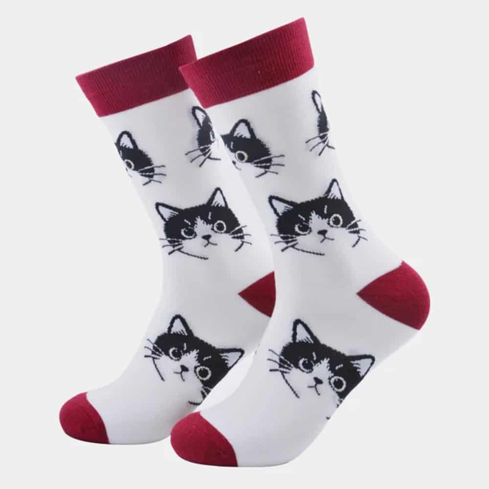 Calcetines de Algodón Caras de Gatitos | Confort TORNASOL