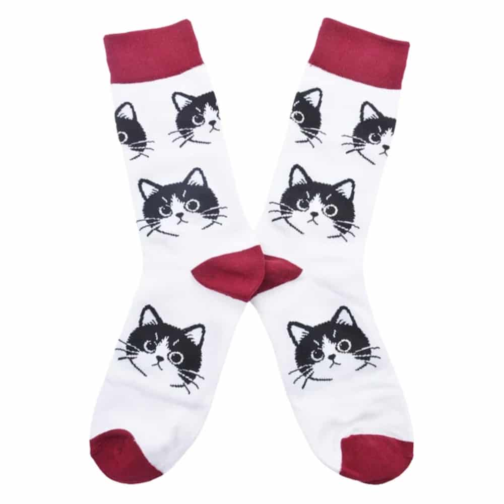 Calcetines de Algodón Caras de Gatitos | Confort TORNASOL