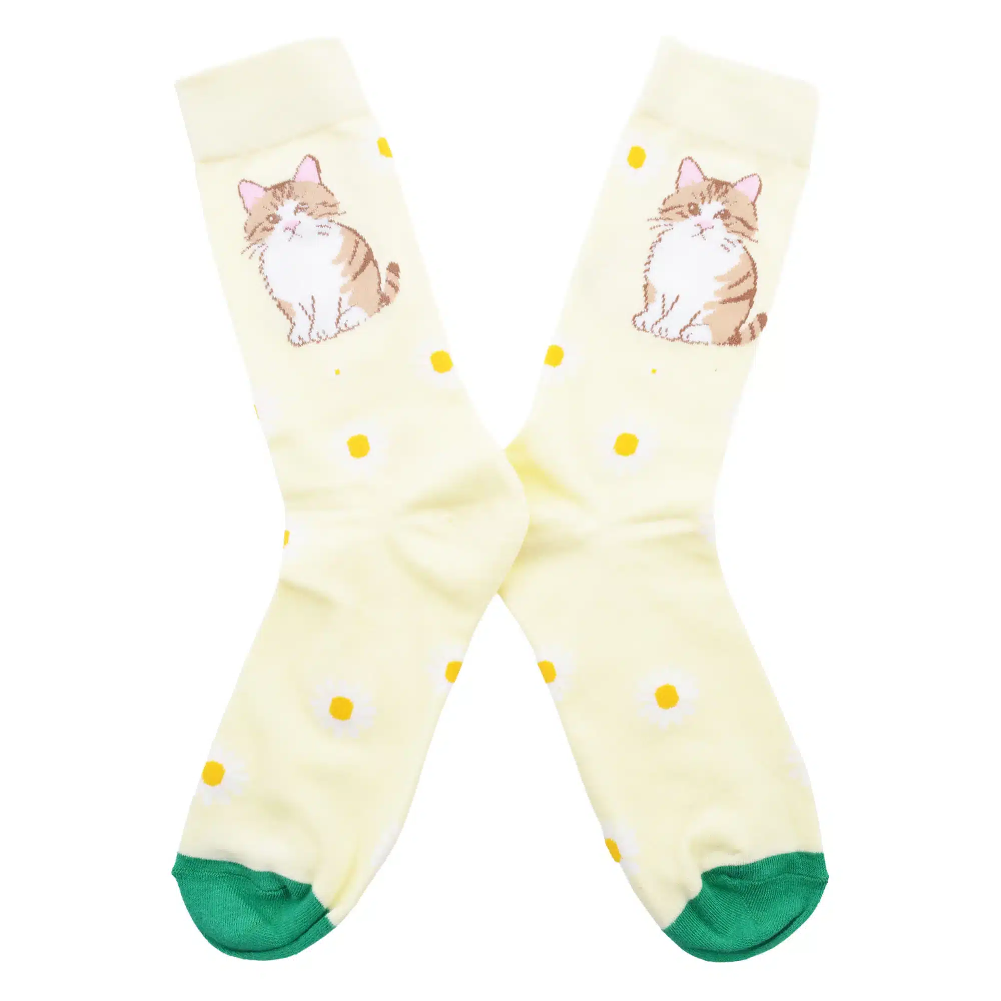 calcetines gato romano