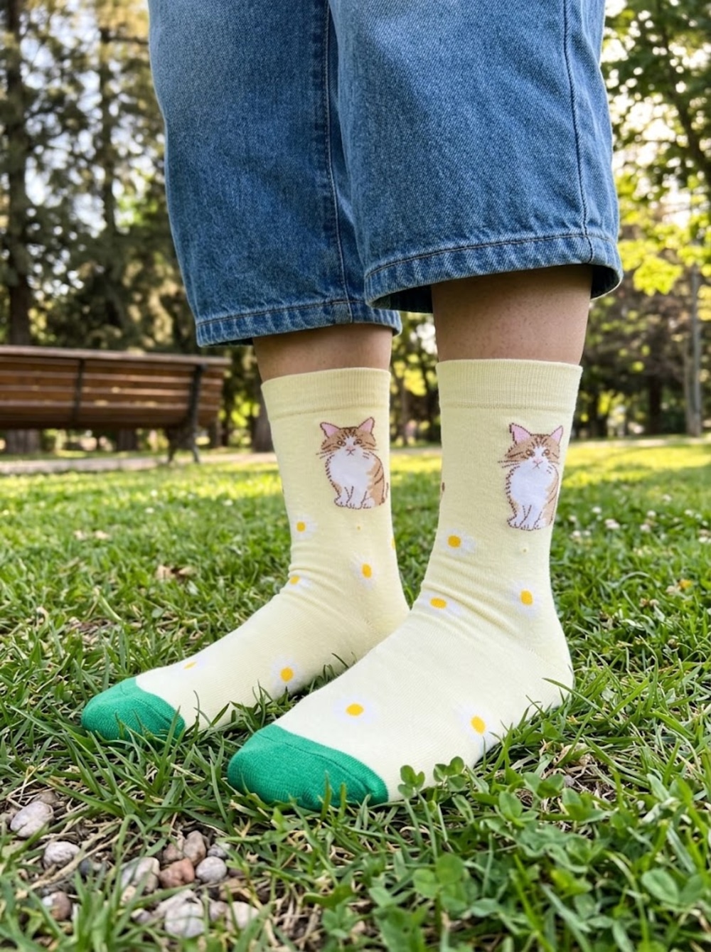 calcetines gato romano
