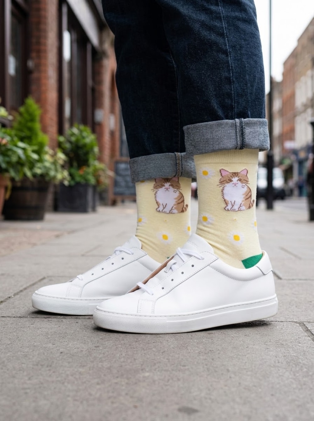 calcetines gato romano