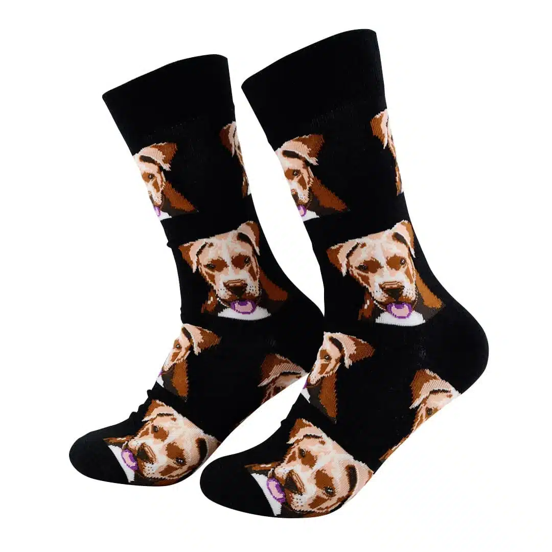 Calcetines de Algodón Cabezas de Perro | Diversión
